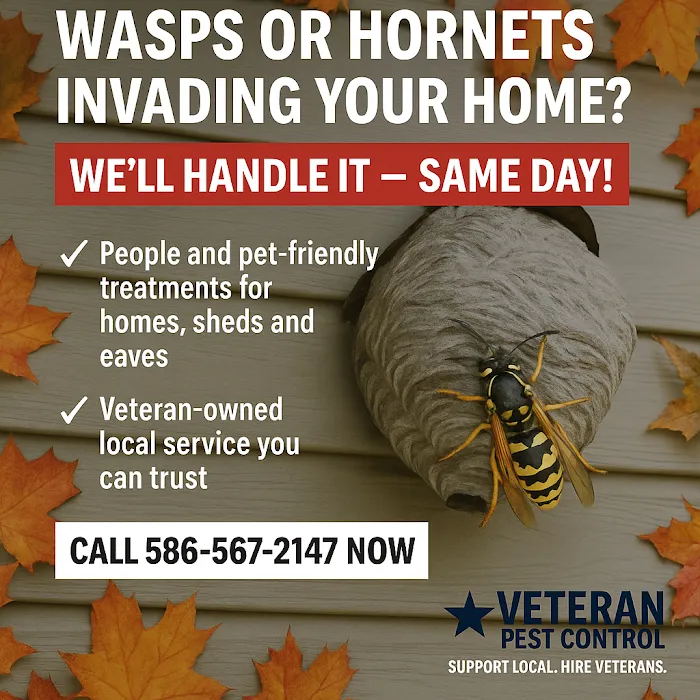 Veteran Pest Control(Military Veteran Owned) VA FHA Inspection's Picture 9