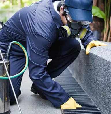 Pest Control Zionsville | Residential, Commercial Pest Control, Bed Bugs, Stinging Insects, & Rodents Control in Zionsville Picture 3