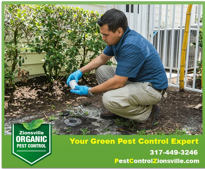 Pest Control Zionsville | Residential, Commercial Pest Control, Bed Bugs, Stinging Insects, & Rodents Control in Zionsville Picture 2
