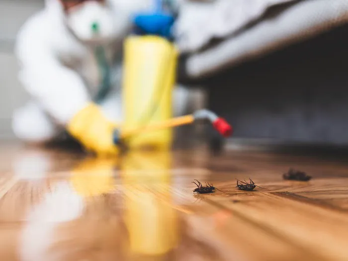 Pest Control Zionsville | Residential, Commercial Pest Control, Bed Bugs, Stinging Insects, & Rodents Control in Zionsville Picture 5