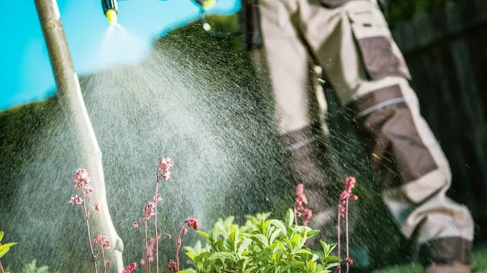 Pest Control Zionsville | Residential, Commercial Pest Control, Bed Bugs, Stinging Insects, & Rodents Control in Zionsville Picture 6