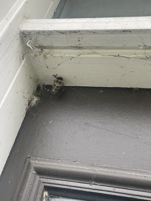 Bulwark Exterminating Picture 6