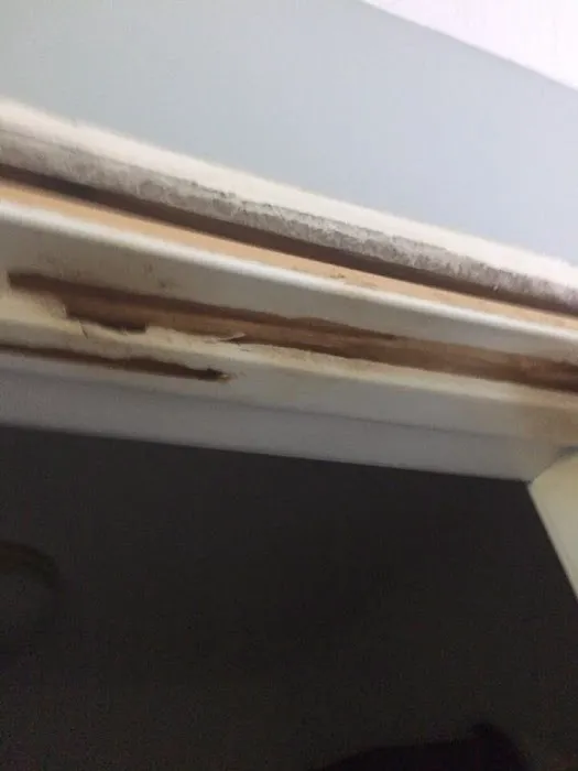 Affordable Pest Control Indianapolis | Residential, Commercial Pest Control, Bed Bugs, Stinging Insects, & Rodents Control Picture 8