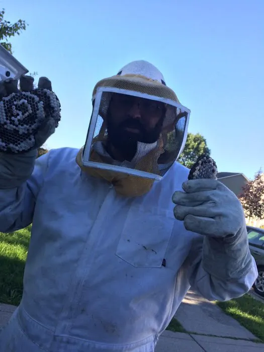 Affordable Pest Control Indianapolis | Residential, Commercial Pest Control, Bed Bugs, Stinging Insects, & Rodents Control Picture 7