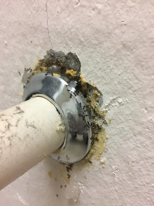 Affordable Pest Control Indianapolis | Residential, Commercial Pest Control, Bed Bugs, Stinging Insects, & Rodents Control Picture 6
