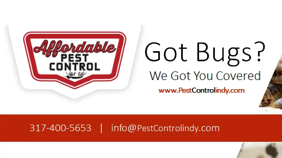 Affordable Pest Control Indianapolis | Residential, Commercial Pest Control, Bed Bugs, Stinging Insects, & Rodents Control Picture 2