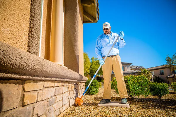 Affordable Pest Control Indianapolis | Residential, Commercial Pest Control, Bed Bugs, Stinging Insects, & Rodents Control Picture 3