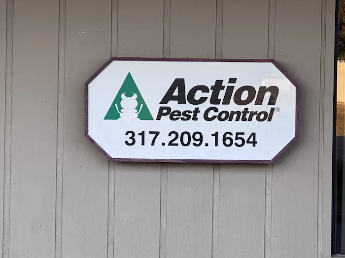 Action Pest Control Picture 7