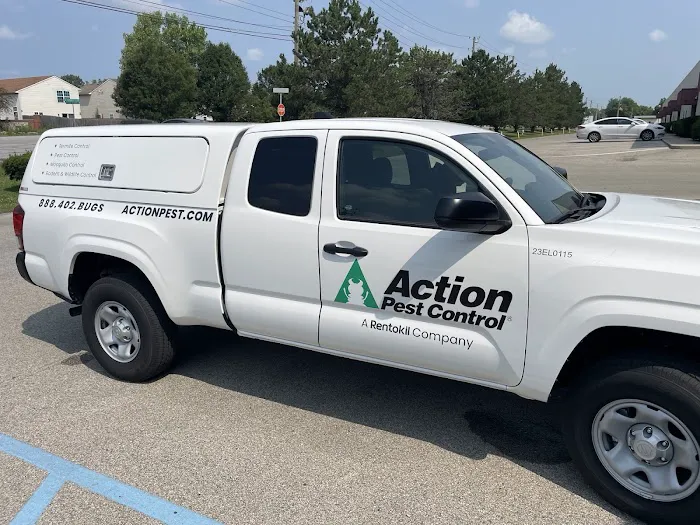 Action Pest Control Picture 5