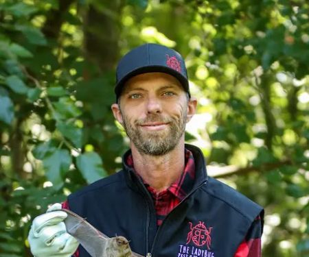 The LadyBug Pest and Wildlife Control