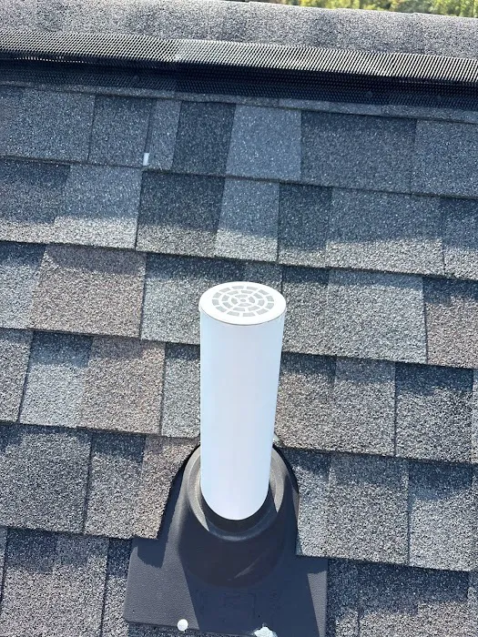 The LadyBug Pest and Wildlife Control Picture 3