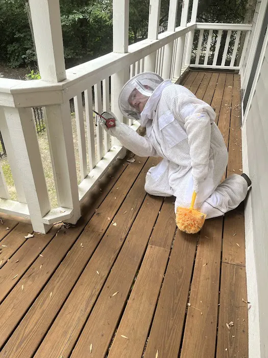 Greenix Pest Control Picture 8