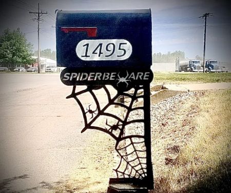 Spider Beware