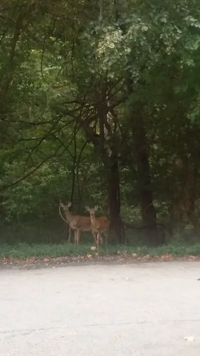Tri-State Wildlife Management Picture 2