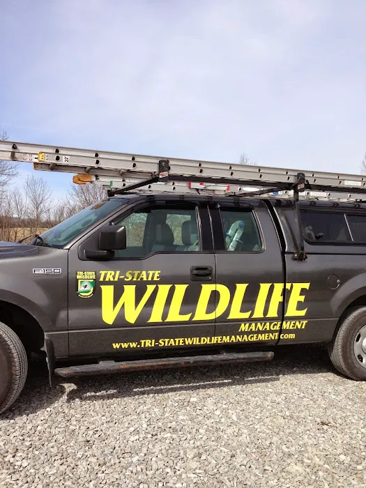 Tri-State Wildlife Management Picture 1