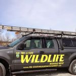Tri-State Wildlife Management