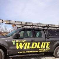 Tri-State Wildlife Management ico