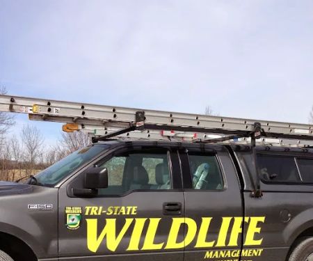 Tri-State Wildlife Management