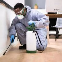 Tolerable Levels Pest Control ico