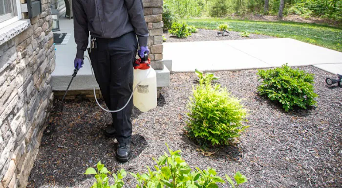 Tolerable Levels Pest Control Picture 5