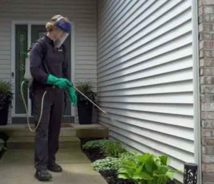 Tolerable Levels Pest Control Picture 4