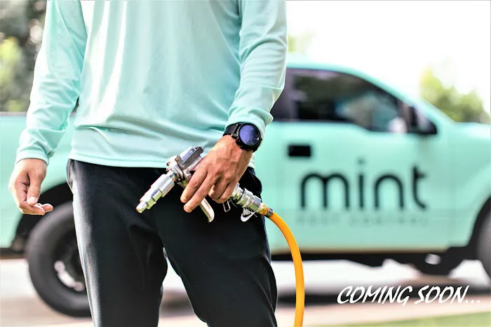 Mint Pest Control Picture 3