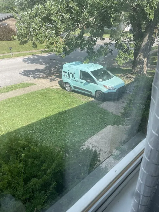 Mint Pest Control Picture 8