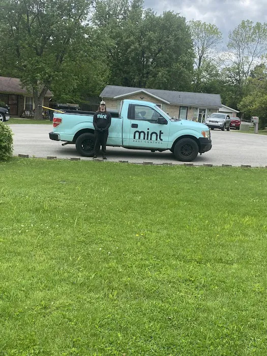 Mint Pest Control Picture 10