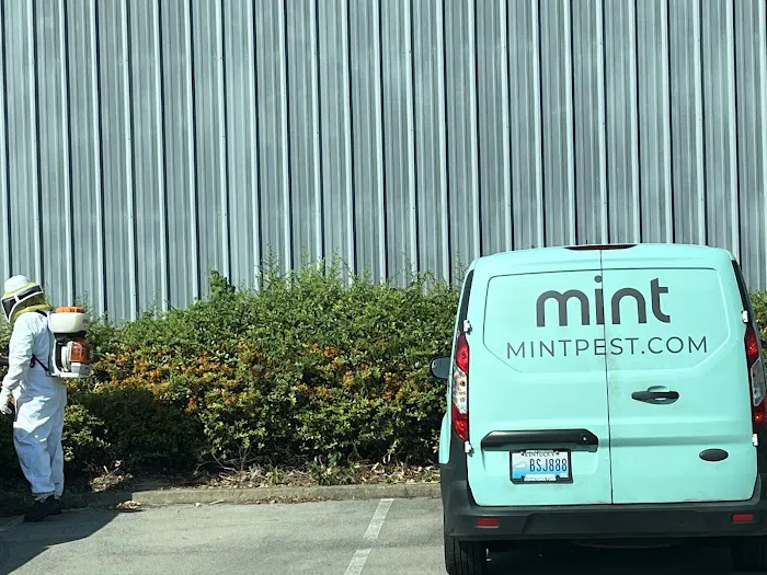 Mint Pest Control Picture 9