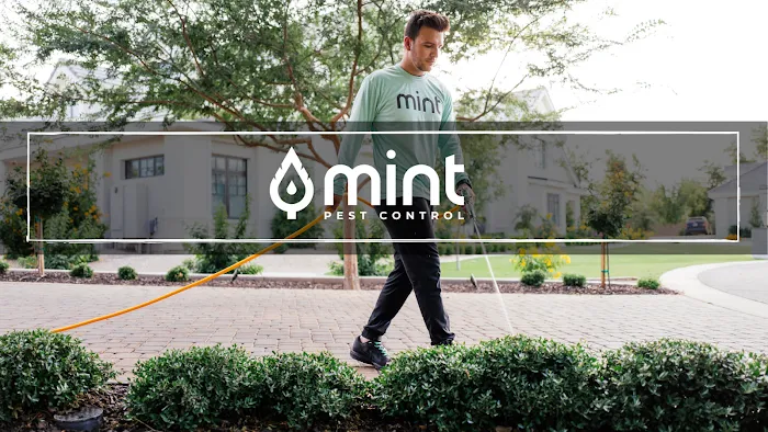 Mint Pest Control Picture 1