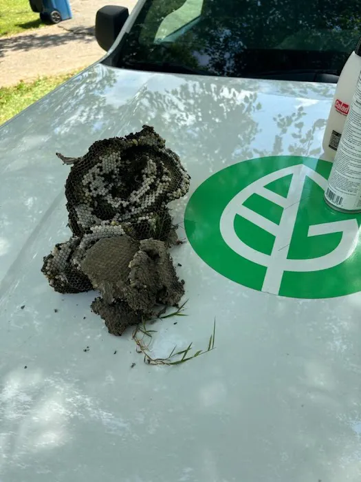 Greenix Pest Control Picture 1