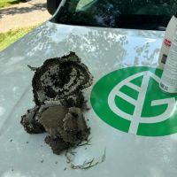 Greenix Pest Control ico