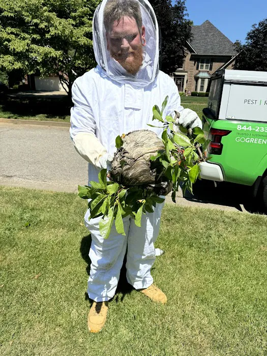Greenix Pest Control Picture 2