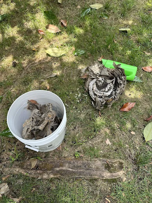 Greenix Pest Control Picture 9