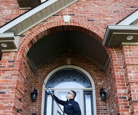 Advanced Pest Elimination