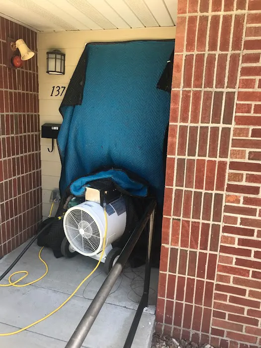 Advanced Pest Elimination Picture 2