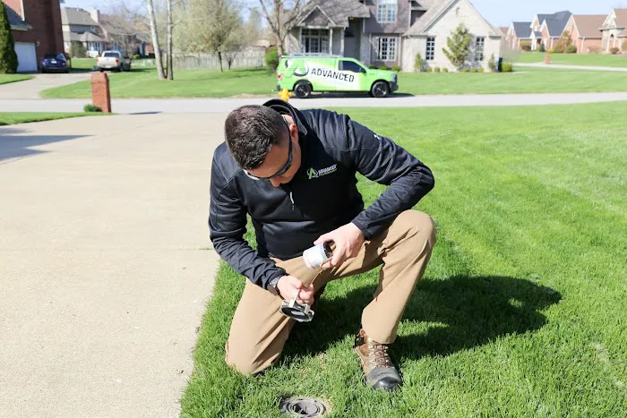 Advanced Pest Elimination Picture 7