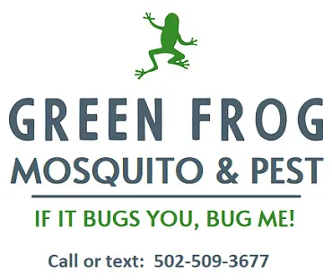 Green Frog Pest Services Picture 3