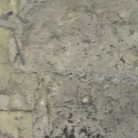 Wilkes Wildlife Control ico
