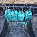 Economy Termite & Pest Control