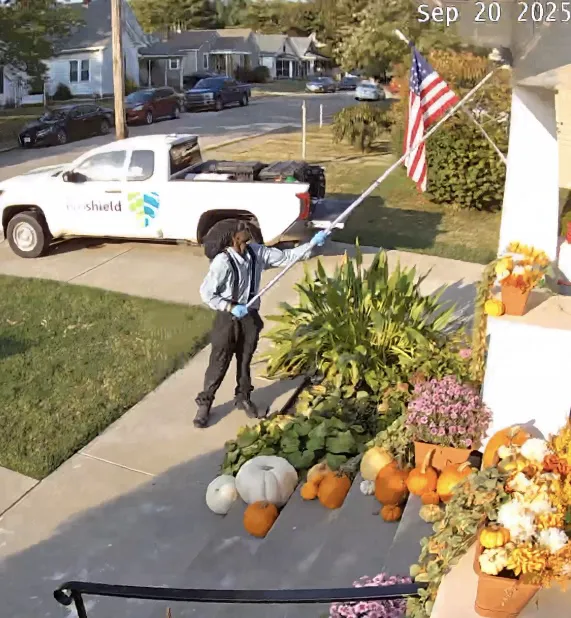 EcoShield Pest Solutions Picture 6