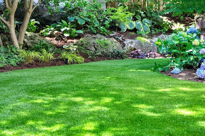 Exterior Lawn & Pest Control Picture 3
