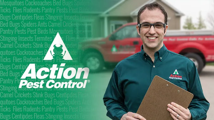 Action Pest Control Picture 7