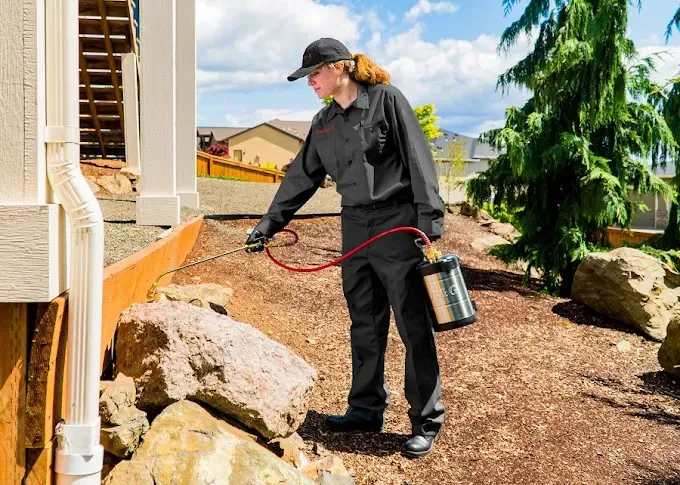 Presto-X Pest Control Picture 1