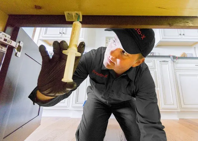 Presto-X Pest Control Picture 2
