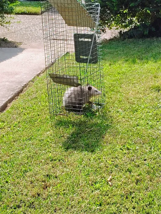 Complete Animal Removal Picture 6