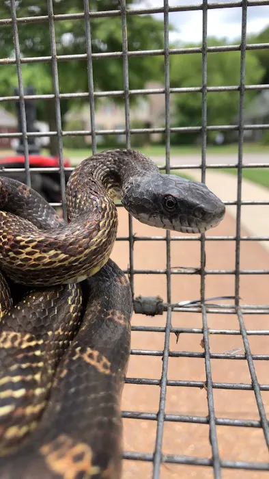 Complete Animal Removal Picture 1