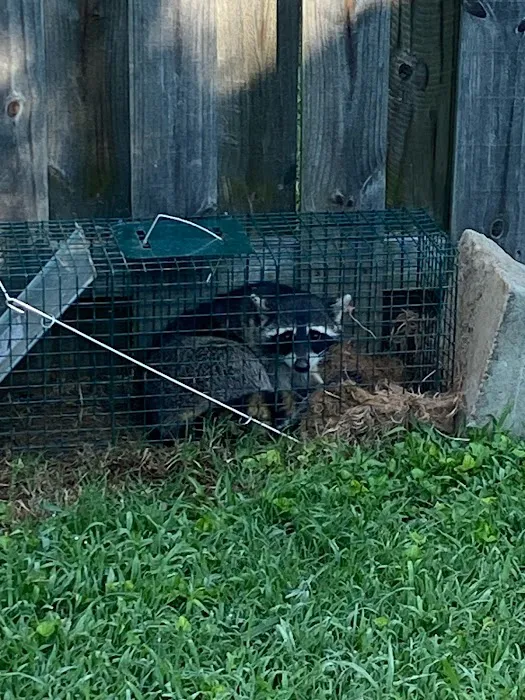 Complete Animal Removal Picture 7