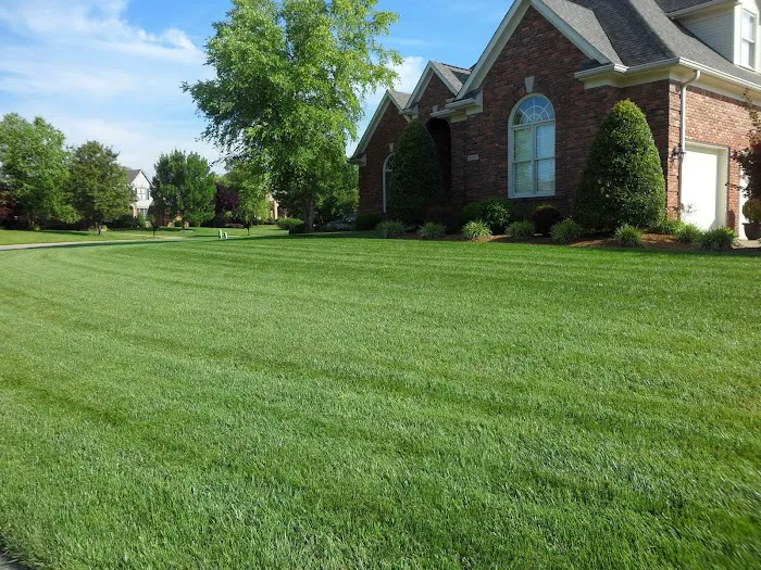 Eagle Lawn Service & Pest Control Picture 5