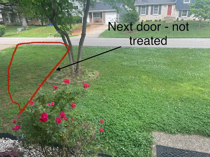 Eagle Lawn Service & Pest Control Picture 4